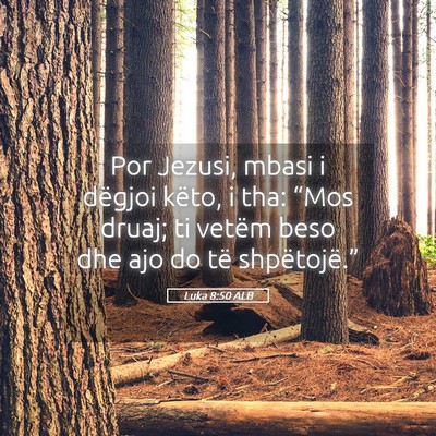 Picture 05 - Luka 8:50 ALB - Por Jezusi, mbasi i dëgjoi këto, i tha: “Mos - Bible Verse Picture