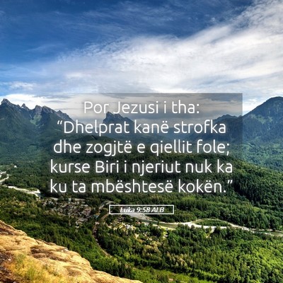 Picture 05 - Luka 9:58 ALB - Por Jezusi i tha: “Dhelprat kanë strofka dhe - Bible Verse Picture