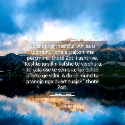 Picture 05 - Malakia 1:13 ALB - Ju thoni gjithashtu: 