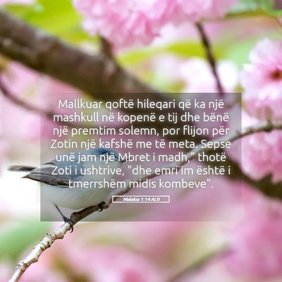Picture 05 - Malakia 1:14 ALB - Mallkuar qoftë hileqari që ka një mashkull në - Bible Verse Picture