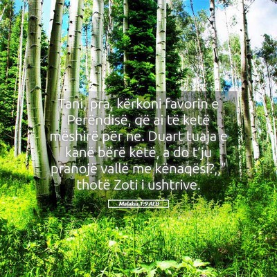 Picture 05 - Malakia 1:9 ALB - Tani, pra, kërkoni favorin e Perëndisë, që ai - Bible Verse Picture