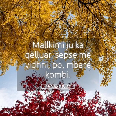 Picture 05 - Malakia 3:9 ALB - Mallkimi ju ka qëlluar, sepse më vidhni, po, - Bible Verse Picture