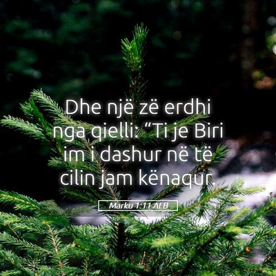 Picture 05 - Marku 1:11 ALB - Dhe një zë erdhi nga qielli: “Ti je Biri im i - Bible Verse Picture
