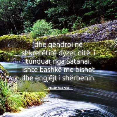 Picture 05 - Marku 1:13 ALB - dhe qëndroi në shkretëtirë dyzet ditë, i - Bible Verse Picture