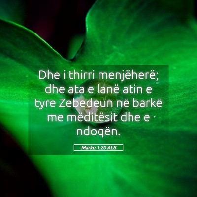 Picture 05 - Marku 1:20 ALB - Dhe i thirri menjëherë; dhe ata e lanë atin e - Bible Verse Picture