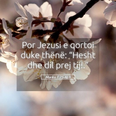 Picture 05 - Marku 1:25 ALB - Por Jezusi e qortoi duke thënë: “Hesht dhe - Bible Verse Picture