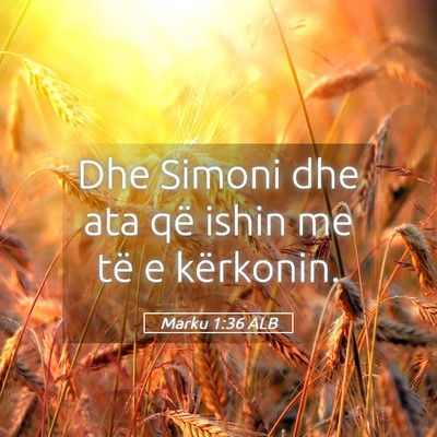 Picture 05 - Marku 1:36 ALB - Dhe Simoni dhe ata që ishin me të e - Bible Verse Picture