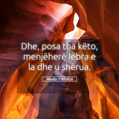 Picture 05 - Marku 1:42 ALB - Dhe, posa tha këto, menjëherë lebra e la dhe u - Bible Verse Picture