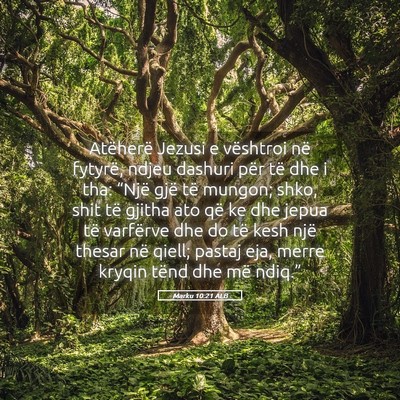 Picture 05 - Marku 10:21 ALB - Atëherë Jezusi e vështroi në fytyrë, ndjeu - Bible Verse Picture