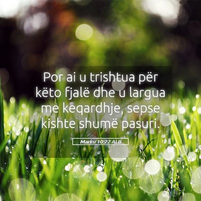 Picture 05 - Marku 10:22 ALB - Por ai u trishtua për këto fjalë dhe u largua - Bible Verse Picture
