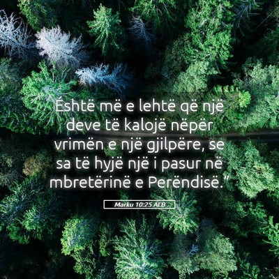 Picture 05 - Marku 10:25 ALB - Éshtë më e lehtë që një deve të kalojë - Bible Verse Picture