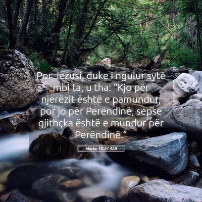 Picture 05 - Marku 10:27 ALB - Por Jezusi, duke i ngulur sytë mbi ta, u tha: - Bible Verse Picture