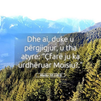 Picture 05 - Marku 10:3 ALB - Dhe ai, duke u përgjigjur, u tha atyre: - Bible Verse Picture