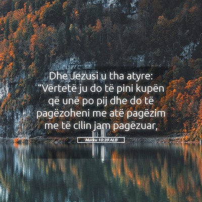 Picture 05 - Marku 10:39 ALB - Dhe Jezusi u tha atyre: “Vërtetë ju do të - Bible Verse Picture
