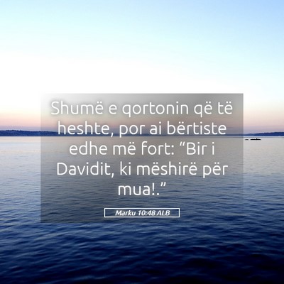 Picture 05 - Marku 10:48 ALB - Shumë e qortonin që të heshte, por ai - Bible Verse Picture