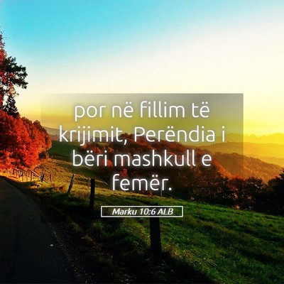 Picture 05 - Marku 10:6 ALB - por në fillim të krijimit, Perëndia i bëri - Bible Verse Picture
