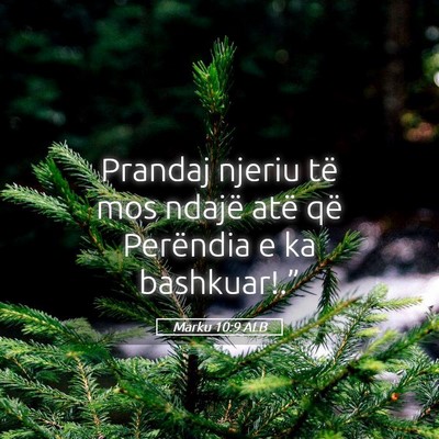 Picture 05 - Marku 10:9 ALB - Prandaj njeriu të mos ndajë atë që Perëndia - Bible Verse Picture