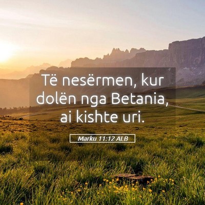 Picture 05 - Marku 11:12 ALB - Të nesërmen, kur dolën nga Betania, ai kishte - Bible Verse Picture