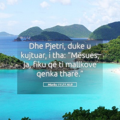 Picture 05 - Marku 11:21 ALB - Dhe Pjetri, duke u kujtuar, i tha: “Mësues, - Bible Verse Picture