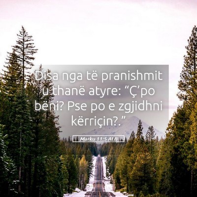 Picture 05 - Marku 11:5 ALB - Disa nga të pranishmit u thanë atyre: - Bible Verse Picture
