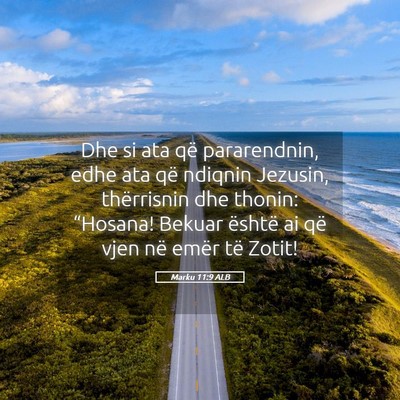 Picture 05 - Marku 11:9 ALB - Dhe si ata që pararendnin, edhe ata që ndiqnin - Bible Verse Picture