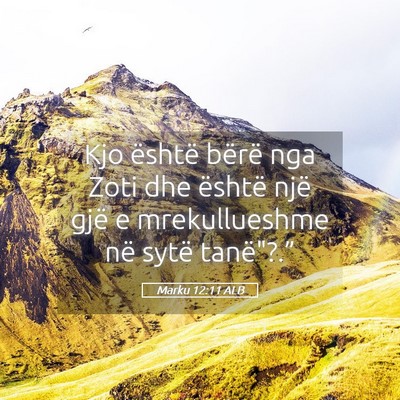Picture 05 - Marku 12:11 ALB - Kjo është bërë nga Zoti dhe është një gjë - Bible Verse Picture