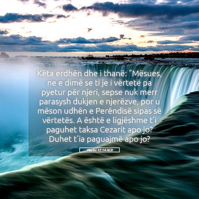 Picture 05 - Marku 12:14 ALB - Këta erdhën dhe i thanë: “Mësues, ne e - Bible Verse Picture