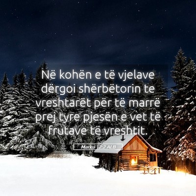Picture 05 - Marku 12:2 ALB - Në kohën e të vjelave dërgoi shërbëtorin te - Bible Verse Picture