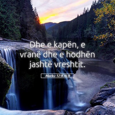 Picture 05 - Marku 12:8 ALB - Dhe e kapën, e vranë dhe e hodhën jashtë - Bible Verse Picture