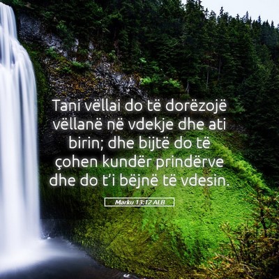 Picture 05 - Marku 13:12 ALB - Tani vëllai do të dorëzojë vëllanë në - Bible Verse Picture