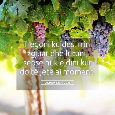 Picture 05 - Marku 13:33 ALB - Tregoni kujdes, rrini zgjuar dhe lutuni, sepse - Bible Verse Picture