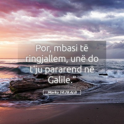 Picture 05 - Marku 14:28 ALB - Por, mbasi të ringjallem, unë do t’ju - Bible Verse Picture