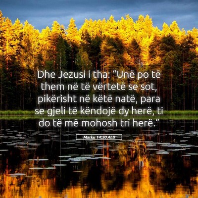 Picture 05 - Marku 14:30 ALB - Dhe Jezusi i tha: “Unë po të them në të - Bible Verse Picture
