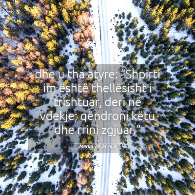 Picture 05 - Marku 14:34 ALB - dhe u tha atyre: “Shpirti im është - Bible Verse Picture