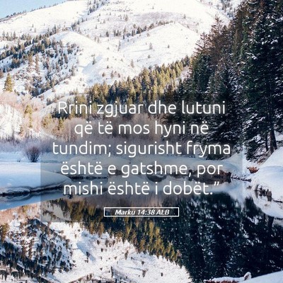 Picture 05 - Marku 14:38 ALB - Rrini zgjuar dhe lutuni që të mos hyni në - Bible Verse Picture