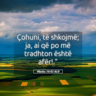 Picture 05 - Marku 14:42 ALB - Çohuni, të shkojmë; ja, ai që po më tradhton - Bible Verse Picture