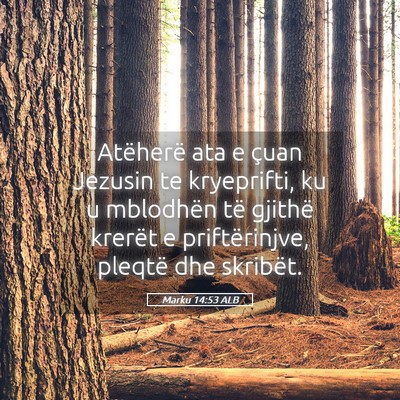 Picture 05 - Marku 14:53 ALB - Atëherë ata e çuan Jezusin te kryeprifti, ku u - Bible Verse Picture