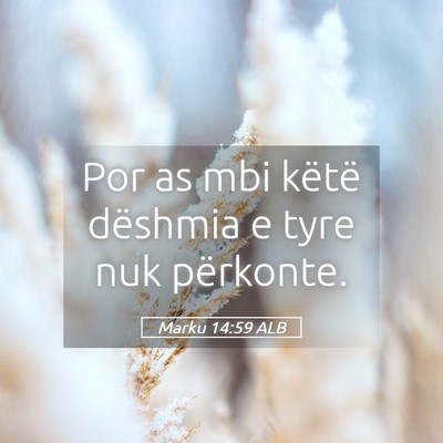 Picture 05 - Marku 14:59 ALB - Por as mbi këtë dëshmia e tyre nuk - Bible Verse Picture