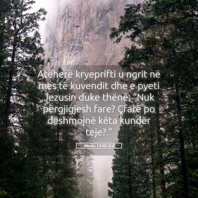 Picture 05 - Marku 14:60 ALB - Atëherë kryeprifti u ngrit në mes të kuvendit - Bible Verse Picture
