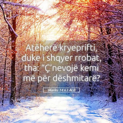 Picture 05 - Marku 14:63 ALB - Atëherë kryeprifti, duke i shqyer rrobat, tha: - Bible Verse Picture