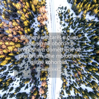Picture 05 - Marku 15:16 ALB - Atëherë ushtarët e çuan Jezusin në oborrin e - Bible Verse Picture