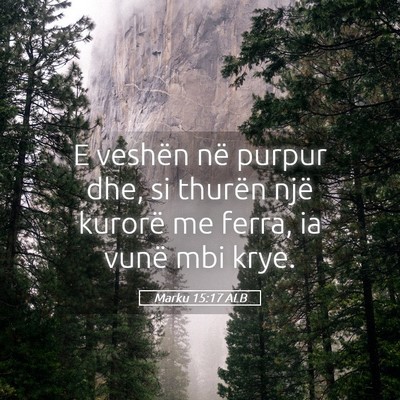 Picture 05 - Marku 15:17 ALB - E veshën në purpur dhe, si thurën një kurorë - Bible Verse Picture
