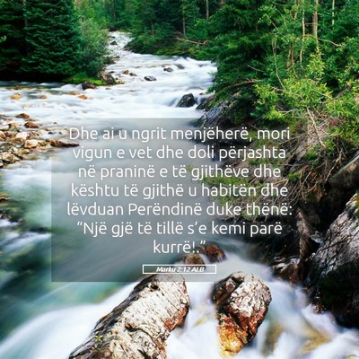 Picture 05 - Marku 2:12 ALB - Dhe ai u ngrit menjëherë, mori vigun e vet dhe - Bible Verse Picture