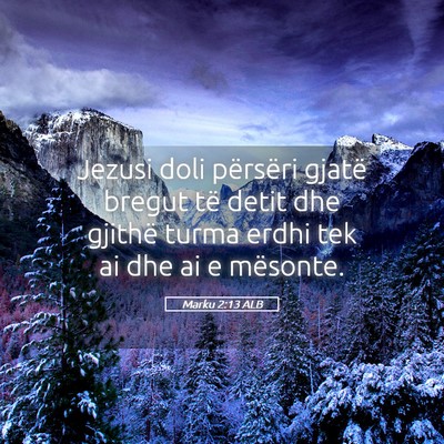 Picture 05 - Marku 2:13 ALB - Jezusi doli përsëri gjatë bregut të detit dhe - Bible Verse Picture