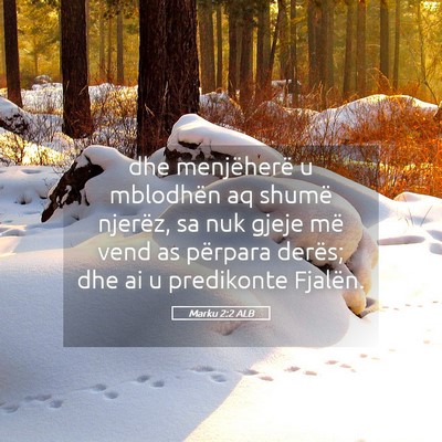 Picture 05 - Marku 2:2 ALB - dhe menjëherë u mblodhën aq shumë njerëz, sa - Bible Verse Picture