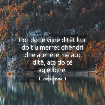 Picture 05 - Marku 2:20 ALB - Por do të vijnë ditët kur do t’u merret - Bible Verse Picture