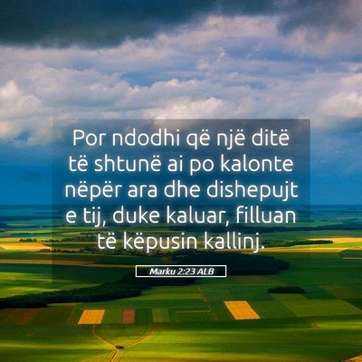 Picture 05 - Marku 2:23 ALB - Por ndodhi që një ditë të shtunë ai po - Bible Verse Picture