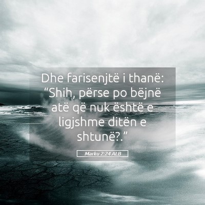 Picture 05 - Marku 2:24 ALB - Dhe farisenjtë i thanë: “Shih, përse po - Bible Verse Picture
