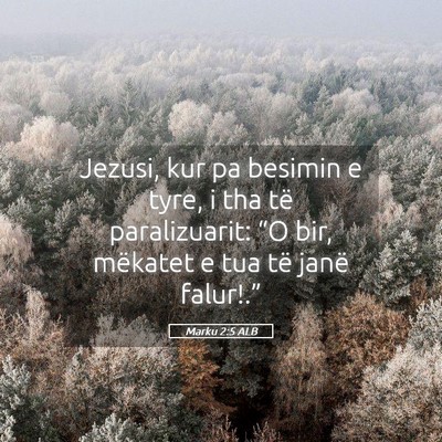 Picture 05 - Marku 2:5 ALB - Jezusi, kur pa besimin e tyre, i tha të - Bible Verse Picture