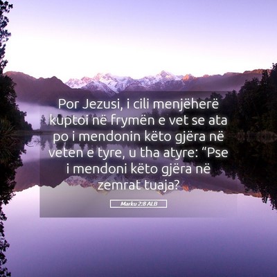 Picture 05 - Marku 2:8 ALB - Por Jezusi, i cili menjëherë kuptoi në frymën - Bible Verse Picture